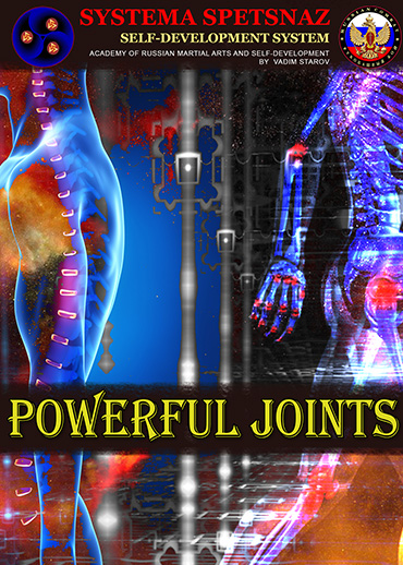 Systema Spetsnaz DVD #14: Self-Development - Powerful Joints - Click Image to Close